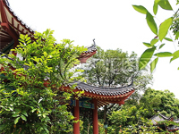 河北晨雄古建园林工程 匠心传承，铸就园林古建经典